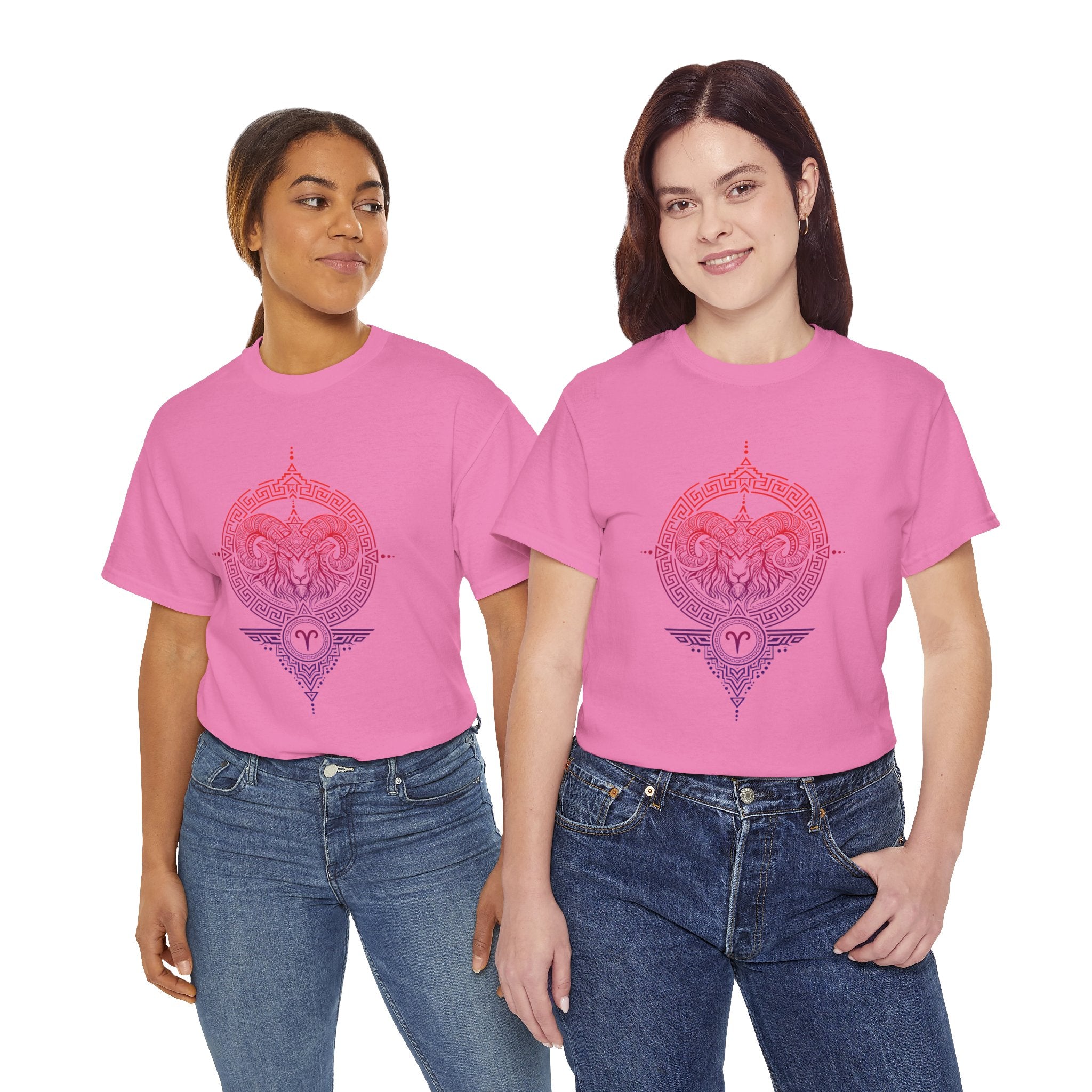 Aries Zodiac T-Shirt