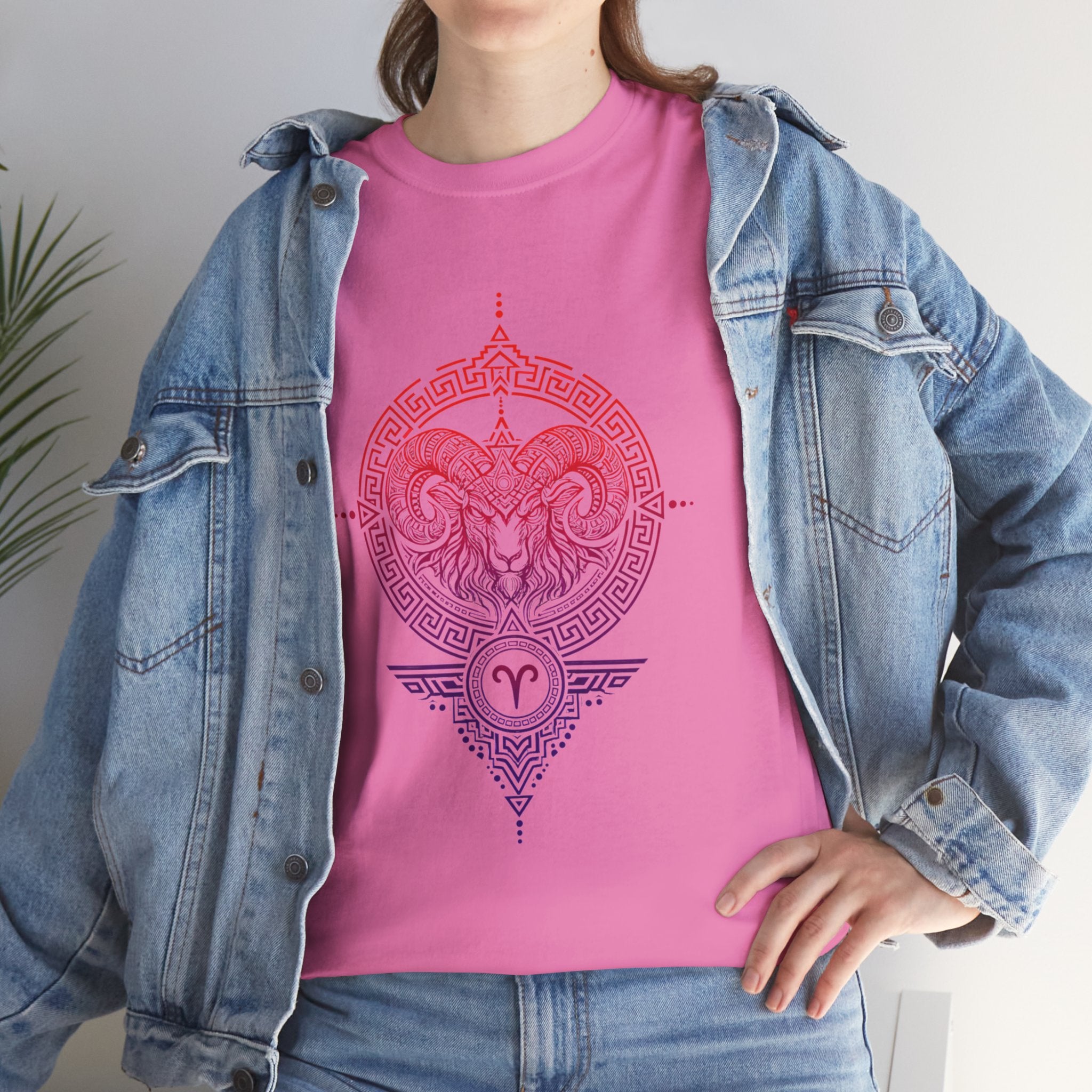 Aries Zodiac T-Shirt