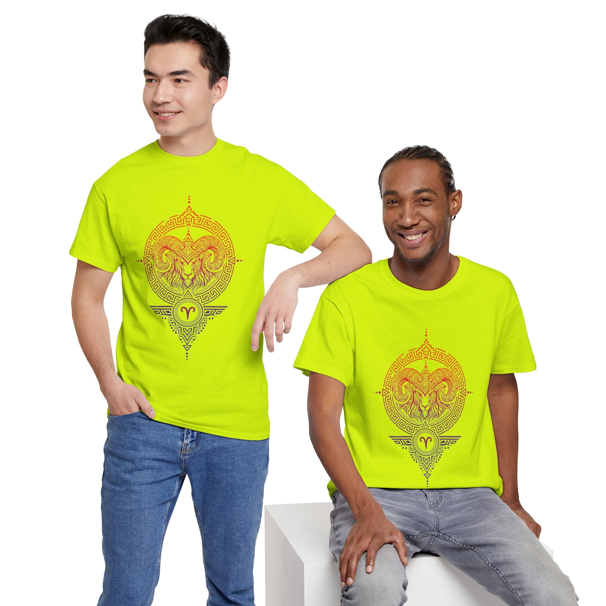 Aries Zodiac T-Shirt