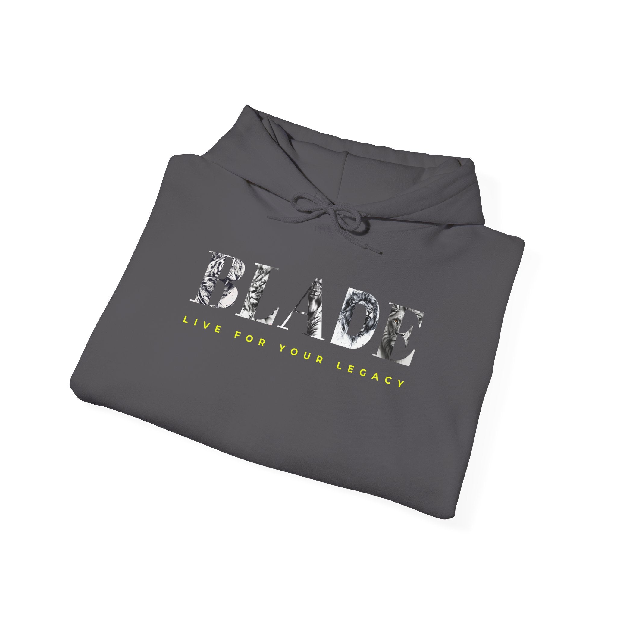King Essential Lion Version 2 Hoodie