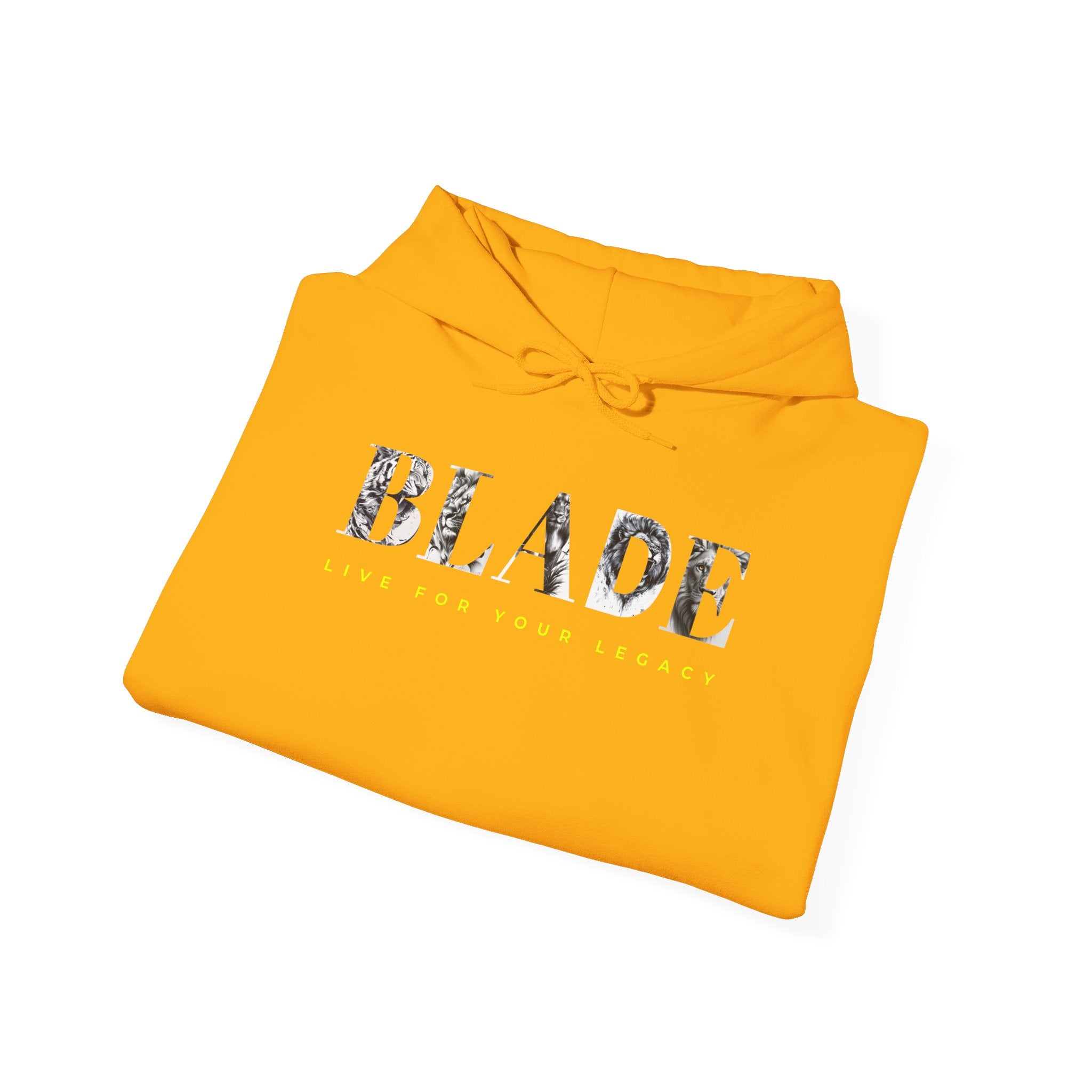 King Essential Lion Version 2 Hoodie